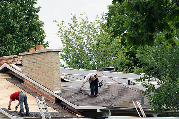 Best Roof Gutter Cleaning  in Park City, TN